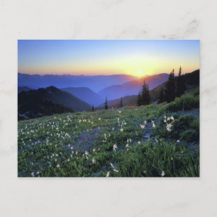 Obstruction Point Sunset, Olympic NP, WA, USA Postkarte