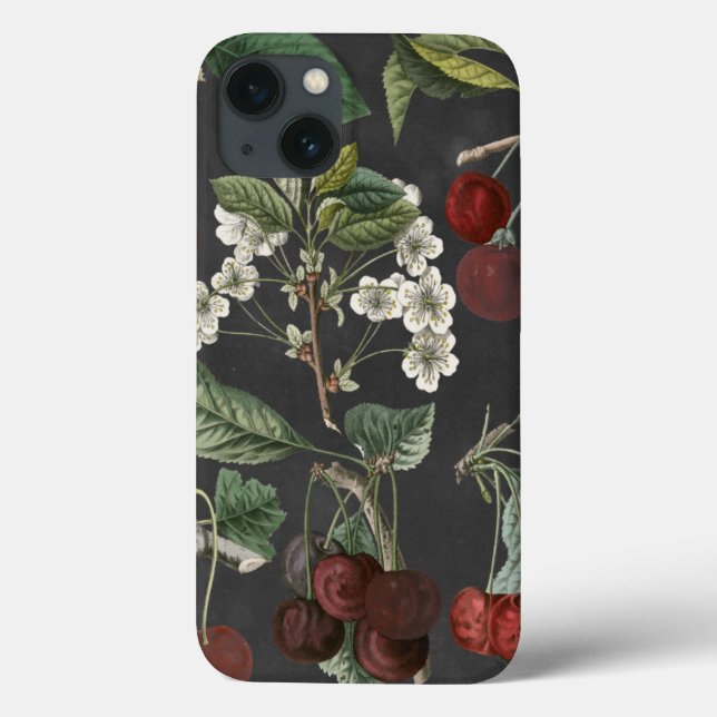 Obstsorten I Case-Mate iPhone Hülle (Rückseite)