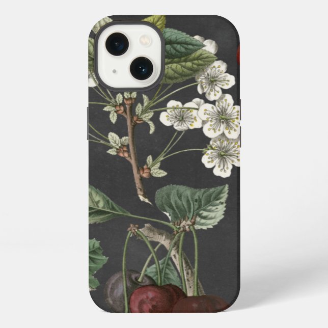 Obstsorten I iPhone Hülle (Rückseite)