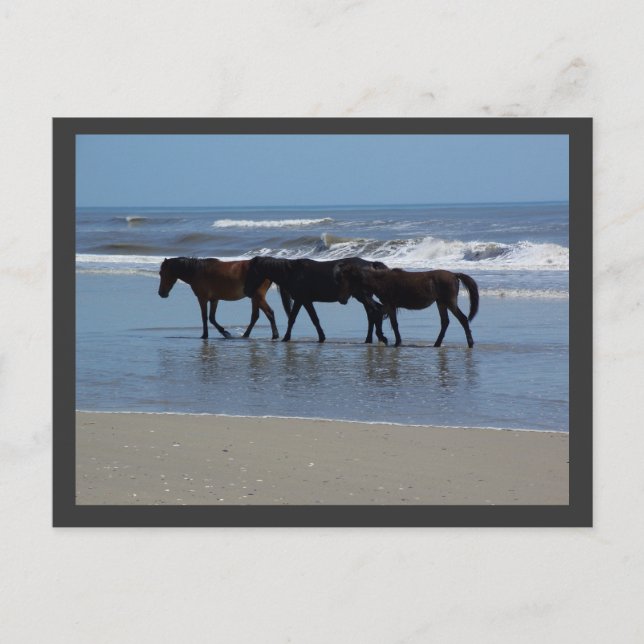 OBX POSTKARTE (Vorderseite)