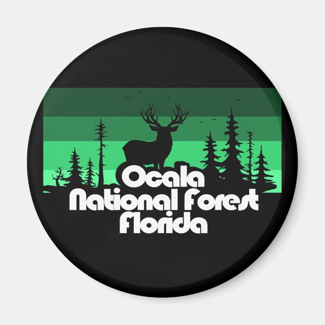 Ocala National Forest Florida Magnet (Vorne)