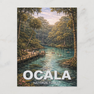 Ocala National Forest Florida Reise Postkarte