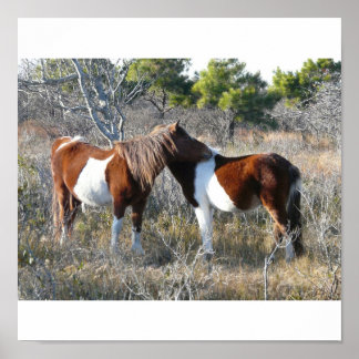OCassateague 11-28-2161 Poster