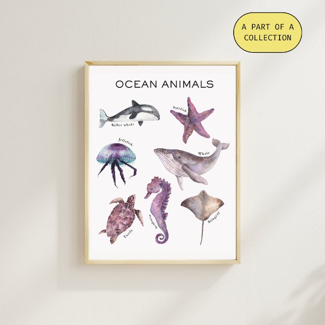 Ocean Animals Educational Poster (Von Creator hochgeladen)