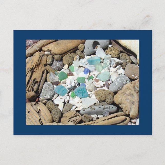 Ocean Beach Postkarten Driftwood Fossils Sea Glass (Vorderseite)