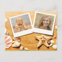 Ocean Beach Starfish Seashells Zwei Foto