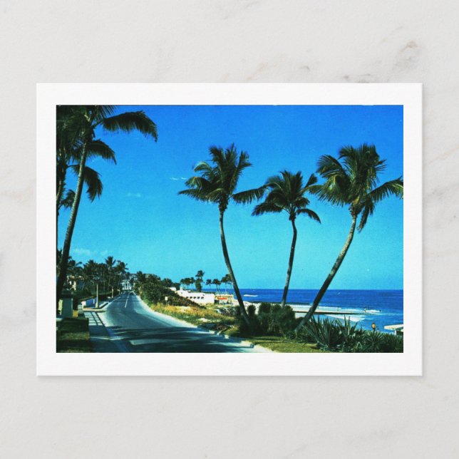 Ocean Boulevard, Palm Beach, Florida Vintag Postkarte (Vorderseite)