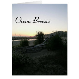 Ocean Breezes