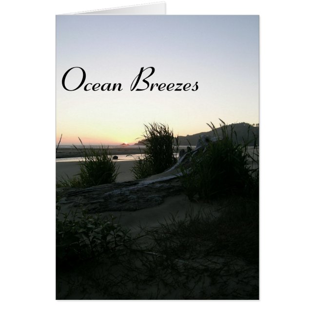 Ocean Breezes (Vorne)