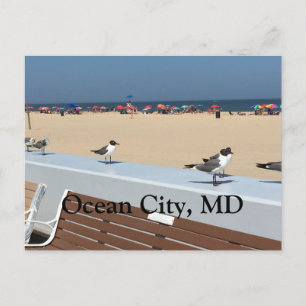 Ocean City Beach, MD mit Vögeln Postkarte