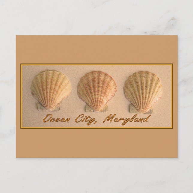 Ocean City, Maryland Postcard Postkarte (Vorderseite)