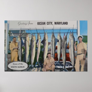 Ocean City, Maryland Zuhause of the White Marlin,  Poster