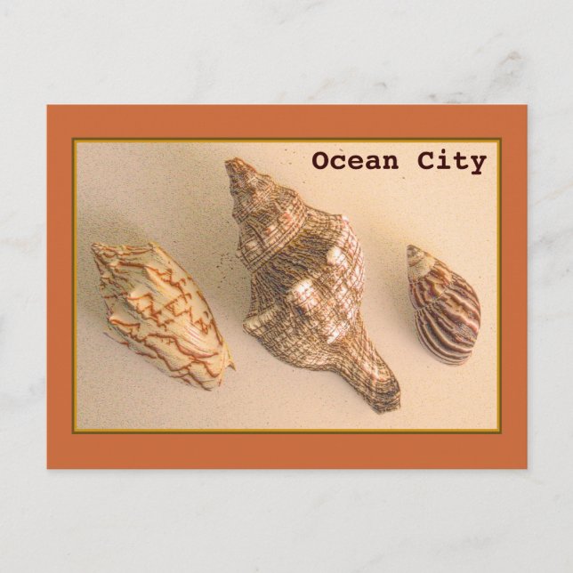 Ocean City Muscheln Postcard Postkarte (Vorderseite)