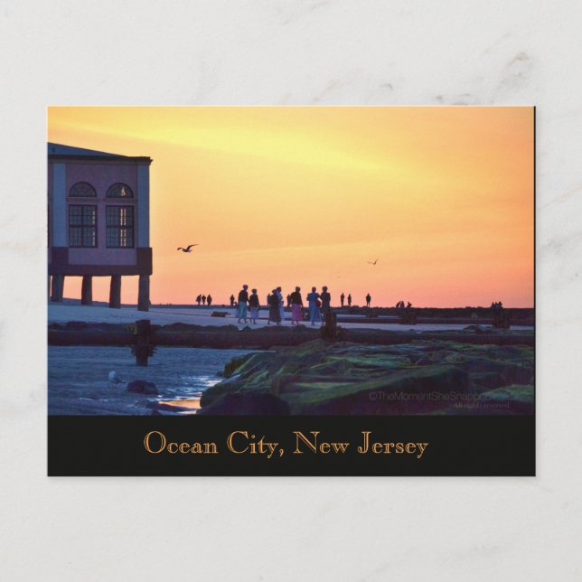Ocean City, New Jersey Music Pier Postcard Ankündigungspostkarte (Vorderseite)