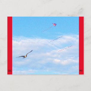 Ocean City, New Jersey Post Card Fly Postkarte