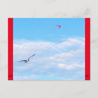 Ocean City, New Jersey Post Card Fly Postkarte