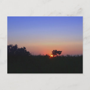 OCEAN CITY POSTKARTE