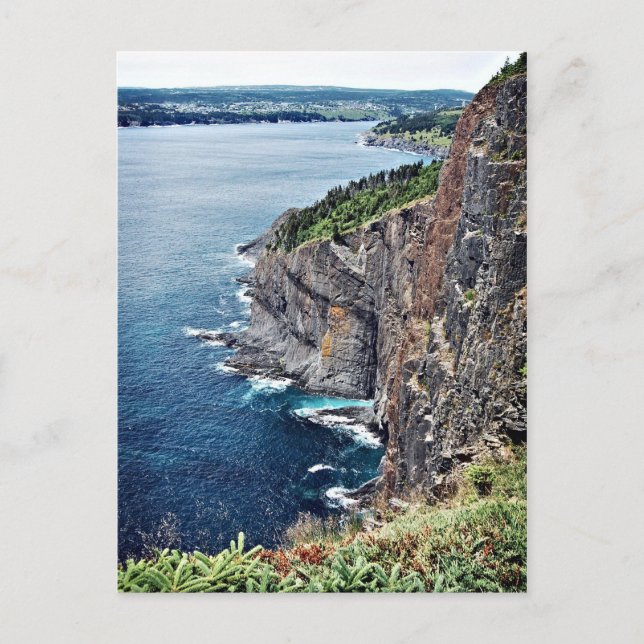 Ocean Cliffs - Neufundland, Kanada Postkarte (Vorderseite)
