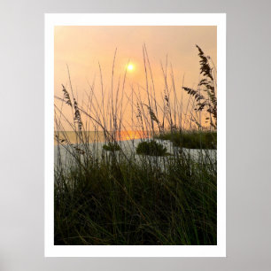 Ocean Dunes Poster