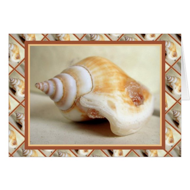 Ocean Jewelry (Vorderseite (Horizontal))