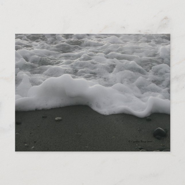 Ocean Meringue! Postkarte (Vorderseite)