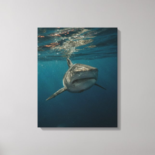 Ocean Predator Stretched Canvas Print Leinwanddruck (Vorderseite)