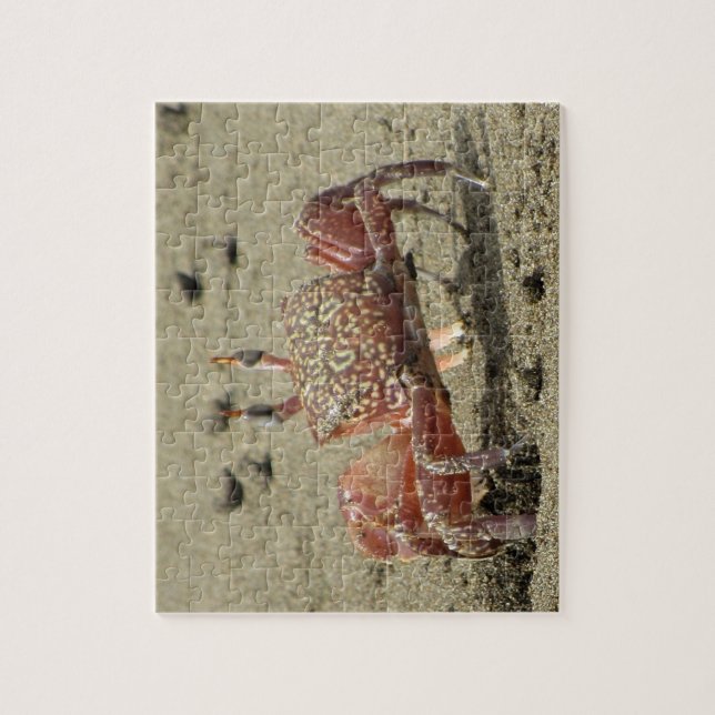 Ocean Sand Crab Puzzle (Vertikal)