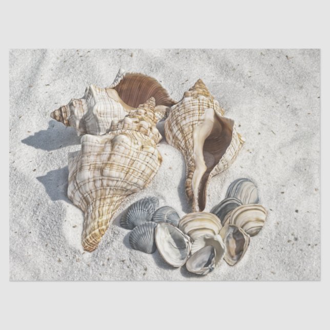 Ocean Seashells Beach Sand Decoupage Tissue Paper Seidenpapier (Vorderseite)