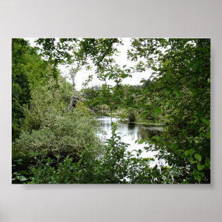 OCEAN SHORES STAAT PARK POSTER