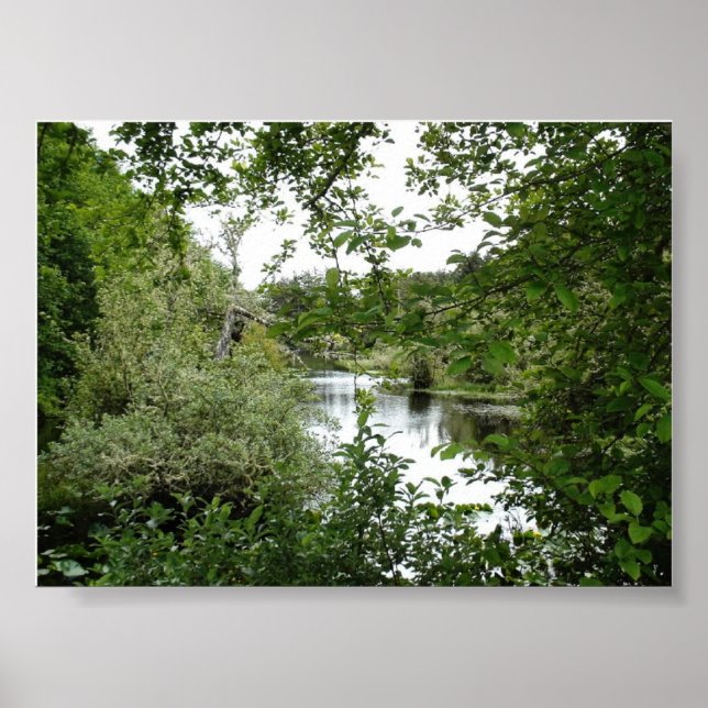 OCEAN SHORES STAAT PARK POSTER (Vorne)