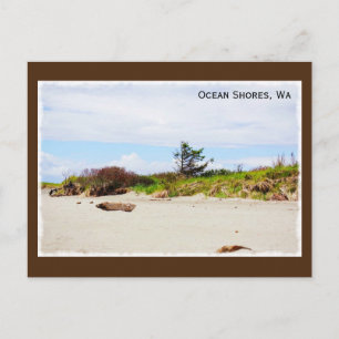 Ocean Shows, Washington Postcard Postkarte