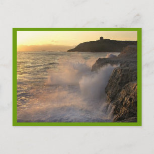 OCEAN SPRAY POSTCARDS POSTKARTE