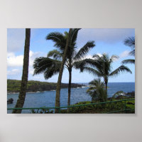 Ocean View Hawaiian Island Maui