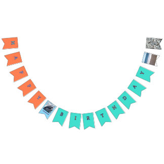 Ocean Waves Dolphin Celebration Wimpelkette