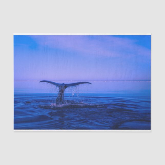 Ocean Whale Decoupage Seidenpapier (Vorderseite)