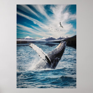 Ocean Whale Poster