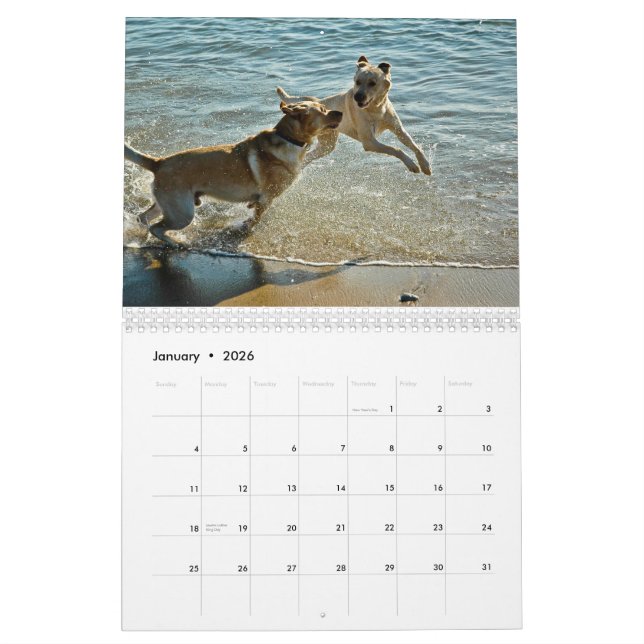 Oceandoggy Kalender 2010 (Jan 2026)