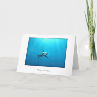 Oceanic Whitetip Shark Birthday Card Karte