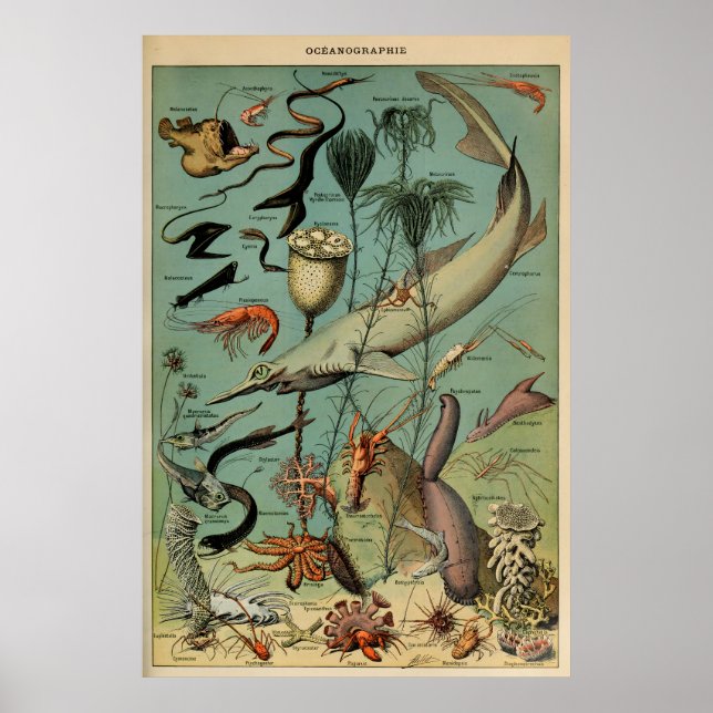 Oceanografia Adolphe Millot Le Larousse Pour Tous Poster (Vorne)