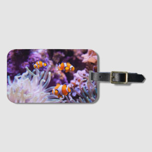 Ocellaris Clownfish   Amphiprion Ocellaris Gepäckanhänger