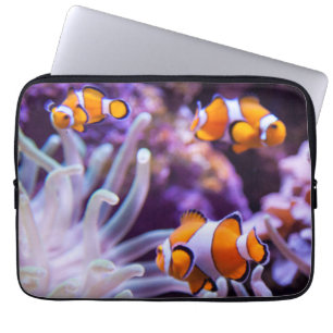Ocellaris Clownfish Amphiprion Ocellaris Laptopschutzhülle