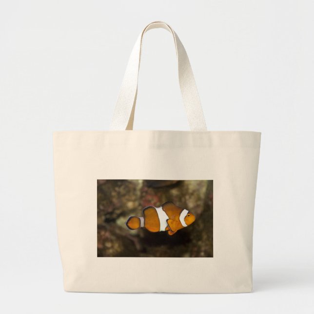 Ocellaris Clownfish Jumbo Stoffbeutel (Vorne)