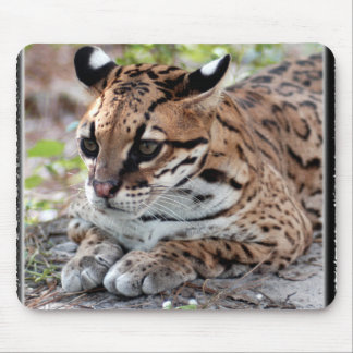 Ocelot 02 11x11 mousepad