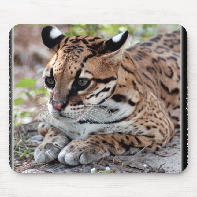 Ocelot 02 11x11 mousepad (Vorne)