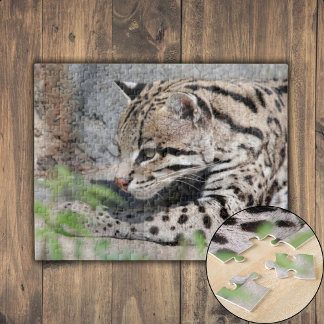 Ocelot Closeup Puzzle