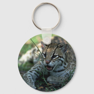 Ocelot, der sich hinlegt schlüsselanhänger