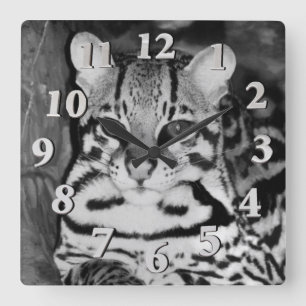 Ocelot in Repose Quadratische Wanduhr