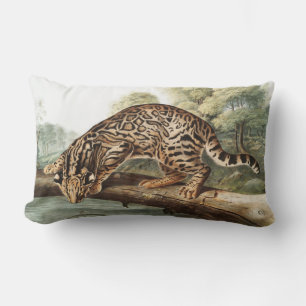 Ocelot, Leopard Cat (Felis pardalis) Illustration Lendenkissen