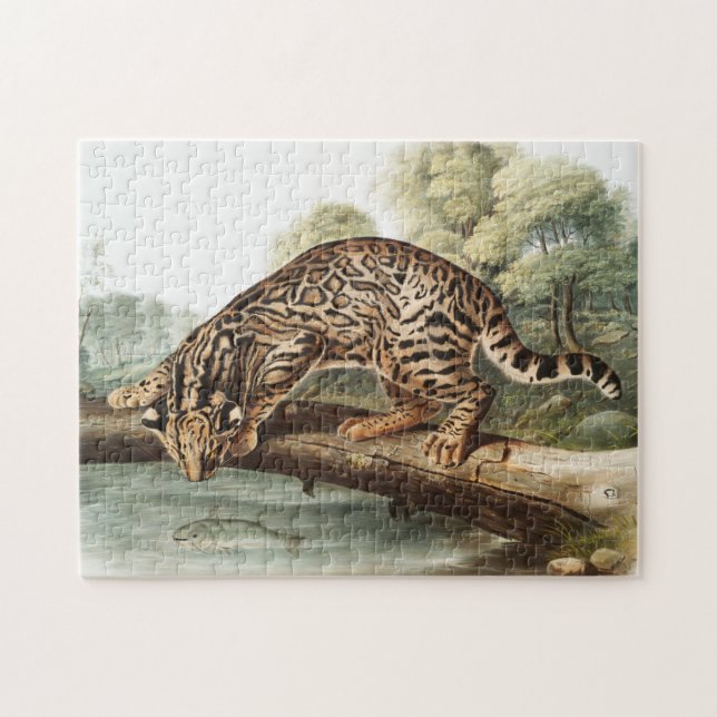 Ocelot, Leopard Cat (Felis pardalis) Illustration Puzzle (Horizontal)