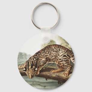 Ocelot, Leopard Cat (Felis pardalis) Illustration Schlüsselanhänger